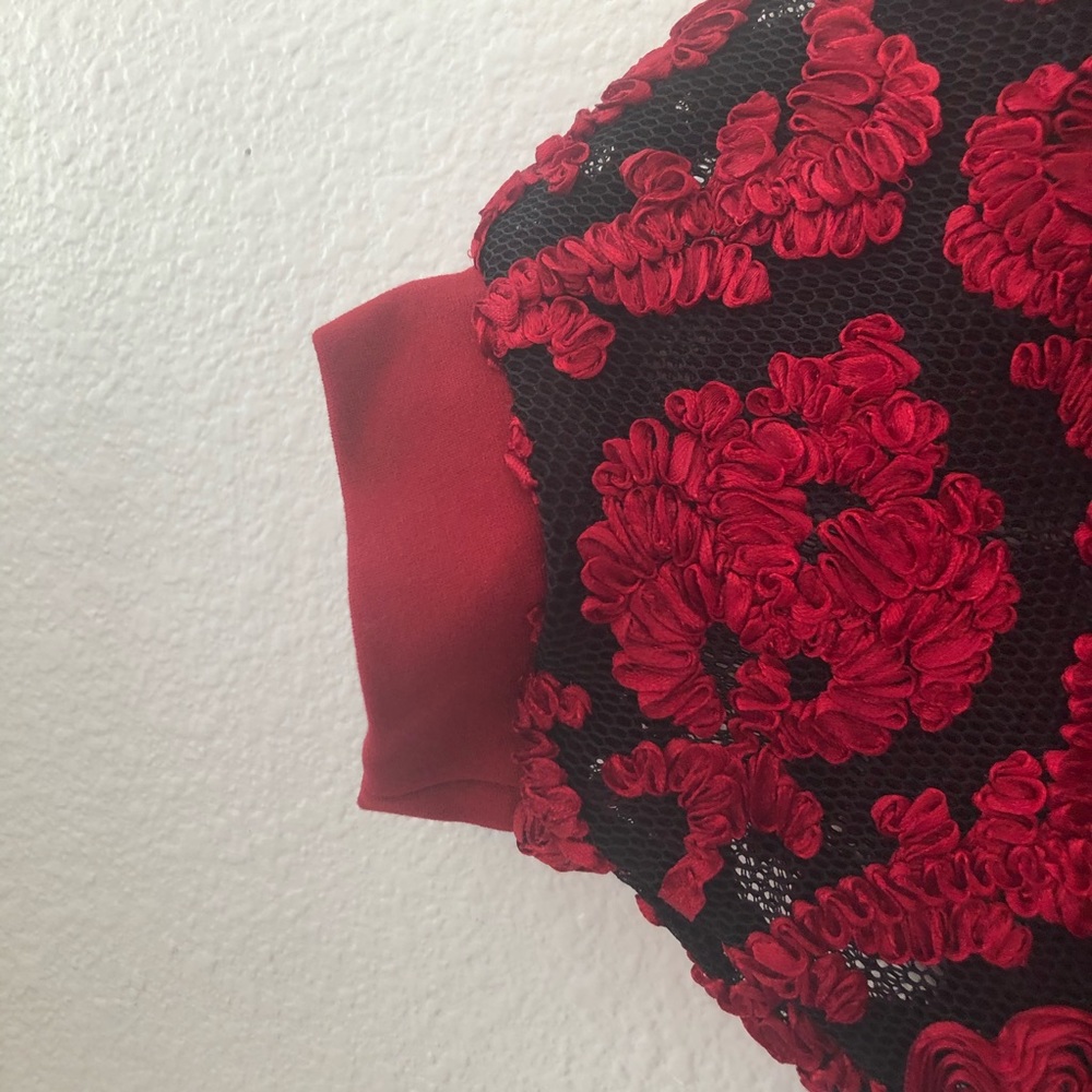 Deep Red Structured Dress - Picture 4 of 4